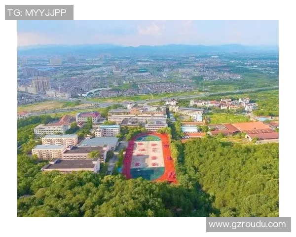 武汉乒乓球队在钻石联赛中实现转型的奋斗历程与未来展望